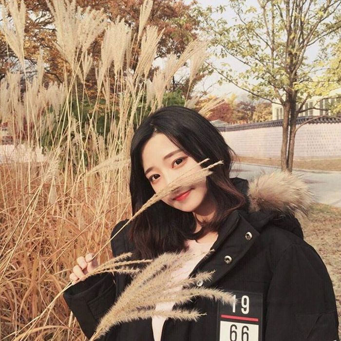 佐藤健（饰 绯村剑心） - 独家访谈节目在线观看 - 客户端看电影